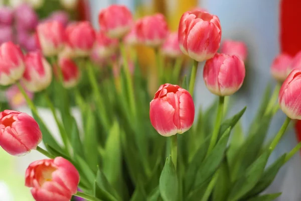 Bukiet Piękne Tulipany Zbliżenie — Zdjęcie stockowe