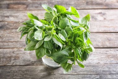 Cam ahşap arka plan üzerinde taze fesleğen ile