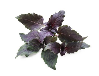 Beyaz arkaplanda taze fesleğen