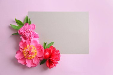 Güzel şakayık çiçekleri renk arka plan üzerinde boş kart ile