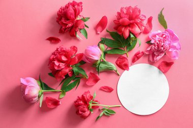 Güzel şakayık çiçekleri ve renk arka plan üzerinde boş kartı kompozisyonu