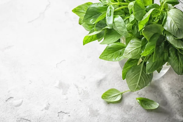 Vase Fresh Basil Light Background — Stock Photo, Image