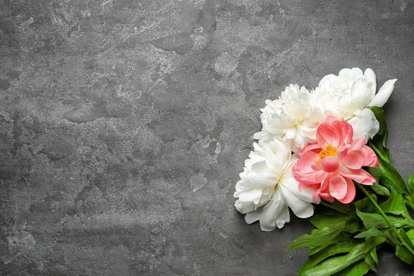 Beautiful Peony Flowers Grey Background — Stock Photo, Image