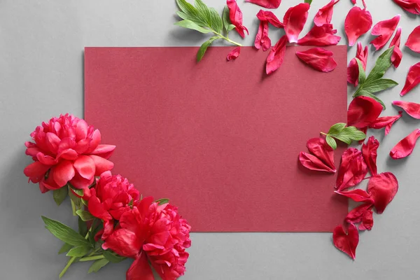 Beautiful Peony Flowers Blank Card Grey Background — Stock Photo, Image