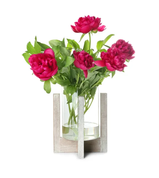 Vase Beautiful Peony Flowers White Background — Stock Photo, Image