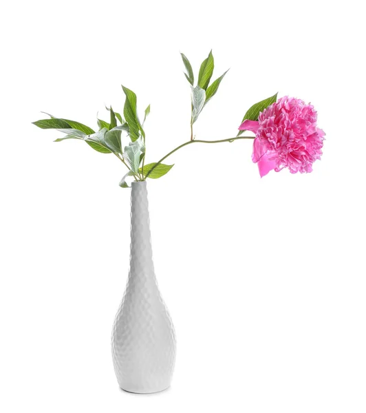 Vase Mit Schöner Blühender Blume Auf Weißem Hintergrund — Stockfoto