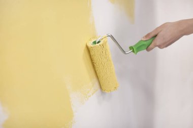 Erkek dekoratör boyama duvar kapalı rulo