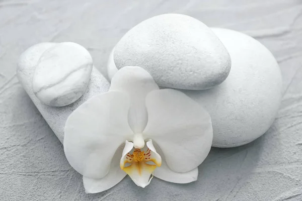 Spa stones and beautiful orchid flower on grey textured background