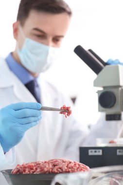 Bilim adamı Forcemeat laboratuvarında incelenmesi