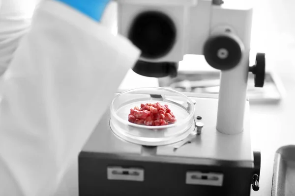 科学家用显微镜检查肉类样品在实验室中的应用 — 图库照片