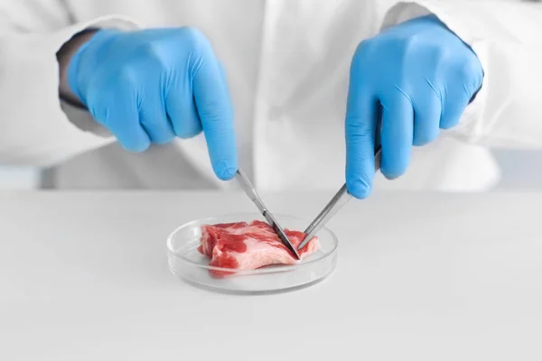 科学家在实验室检查肉类样品 — 图库照片