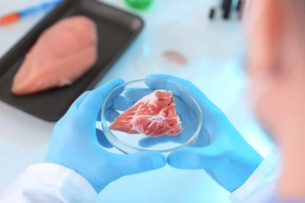 科学家持有培养皿与肉类样品在实验室 — 图库照片