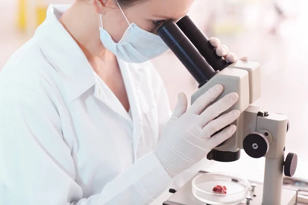 Científico Que Utiliza Microscopio Para Examinar Muestras Carne Laboratorio — Foto de Stock