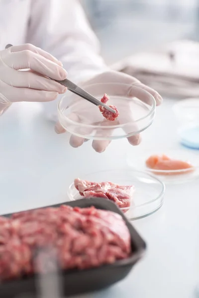Wetenschapper Vleesvulsel Het Laboratorium Onderzoeken — Stockfoto