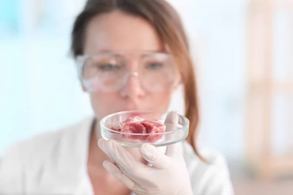 Scienziato Che Tiene Piatto Petri Con Campione Carne Laboratorio — Foto Stock
