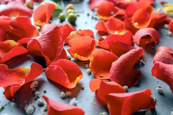 Beautiful Rose Petals Table Closeup — Stock Photo, Image