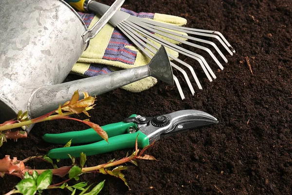 Gardening Equipment Plant Soil — Stock Photo, Image