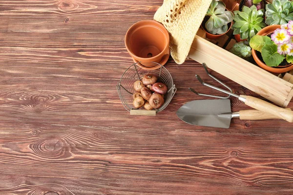 鍋の植物と木枠し 木製の背景上のツールをガーデニング — ストック写真