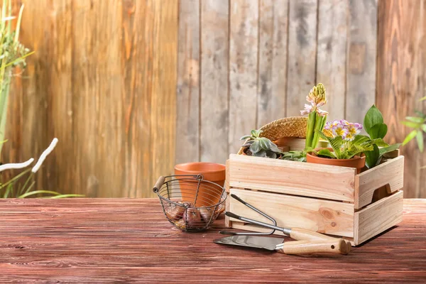 Crate Plants Pots Gardening Tools Wooden Table — Stock Photo, Image
