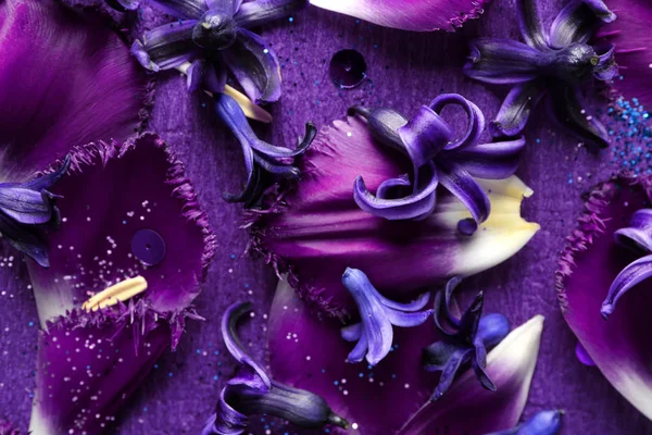 Petali Fiori Con Brillantini Sfondo Viola — Foto Stock
