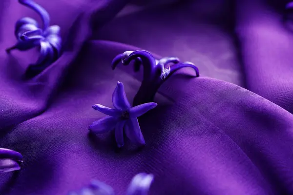 Bunga Pada Kain Ungu Closeup — Stok Foto