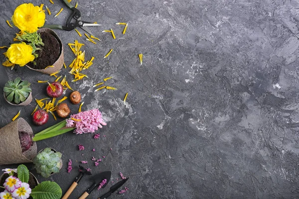 Potten Met Planten Tuingereedschap Grijze Achtergrond — Stockfoto