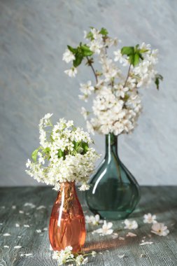 Tablo renkli arka plan üzerinde güzel çiçek dalları ile vazo