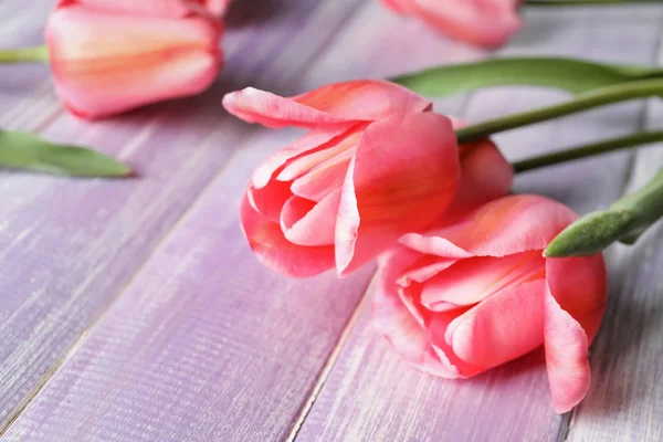 Beautiful Tulips Wooden Table — Stock Photo, Image