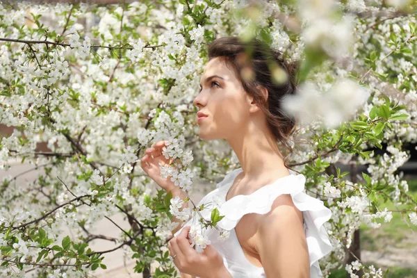 Bahar Gününde Çiçek Açması Tree Yakınındaki Güzel Genç Kadın — Stok fotoğraf