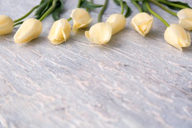 açık renkli üzerinde güzel laleler