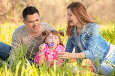 Mutlu aile parkında sabun köpüğü üfleme