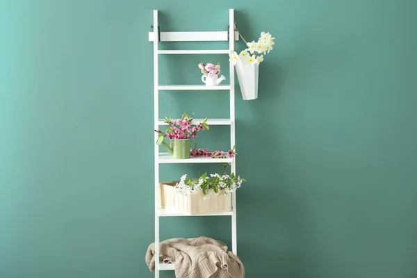 Shelves Beautiful Plants Color Background — Stock Photo, Image