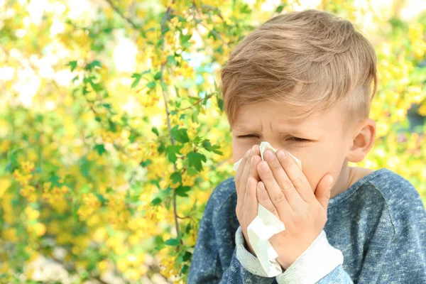 Niño Con Limpiaparabrisas Cerca Árbol Floreciente Concepto Alergia —  Fotos de Stock