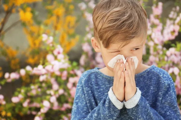 Little Boy Nose Wiper Blooming Tree Allergy Concept — Stock Photo, Image