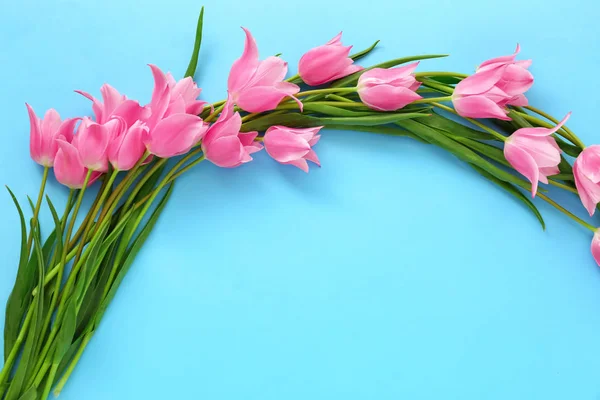 Bei Tulipani Rosa Sfondo Colore — Foto Stock