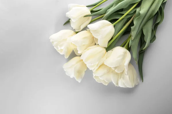 Красиві Тюльпани Білому Тлі — стокове фото
