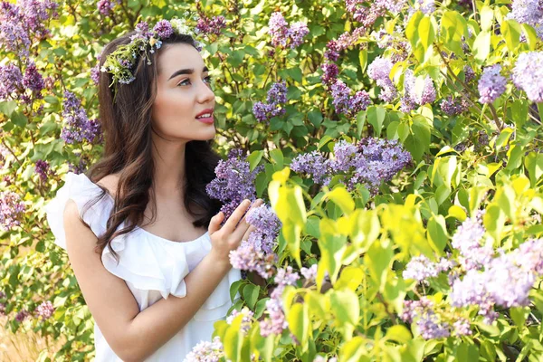 Çiçek Çelenk Çiçek Açması Çalı Yakınındaki Güneşli Bahar Gününde Giyen — Stok fotoğraf