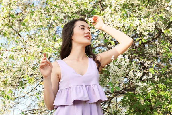 Güneşli Bahar Gününde Çiçek Açması Tree Yakınındaki Güzel Genç Kadın — Stok fotoğraf