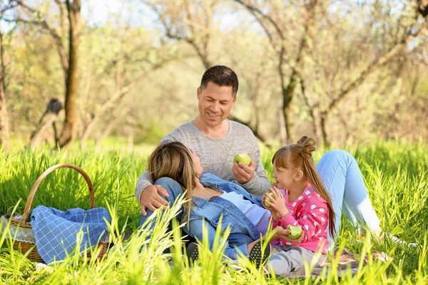 Szczęśliwa Rodzina Jedzenie Jabłek Piknik Parku — Zdjęcie stockowe