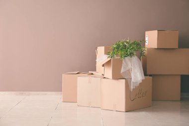 Karton kutularda duvarının yakınında kat dolu. Hareketli ev kavramı