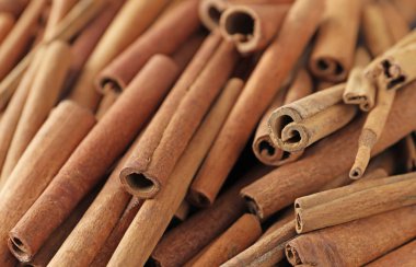 Aromatik tarçın çubukları, portre