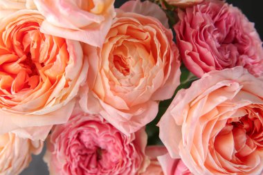 Güzel gül, closeup buketi