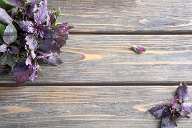 Ahşap arka planda taze fesleğen