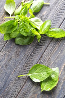 Ahşap arka planda taze fesleğen