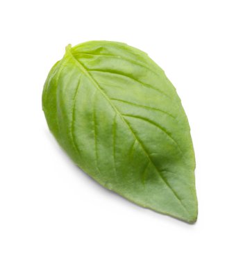 Beyaz arkaplanda taze fesleğen yaprağı