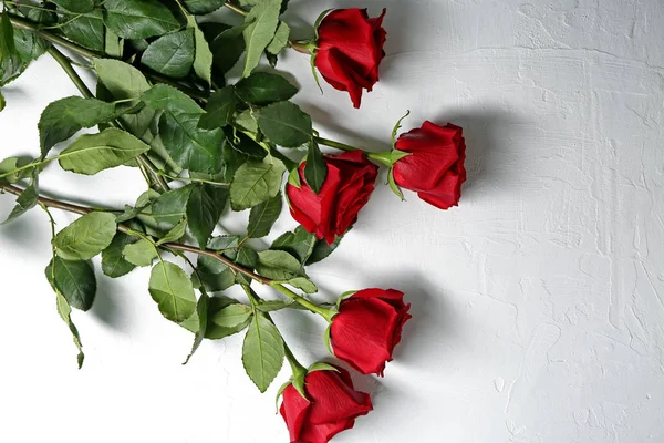 Beautiful Red Roses Light Background — Stock Photo, Image