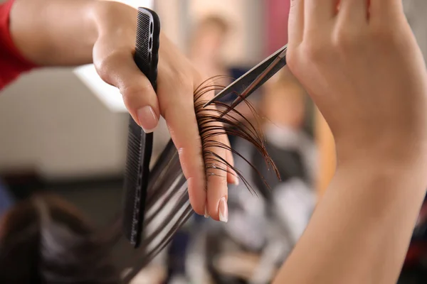 Professional Hairdresser Working Client Beauty Salon Closeup — Stock Photo, Image