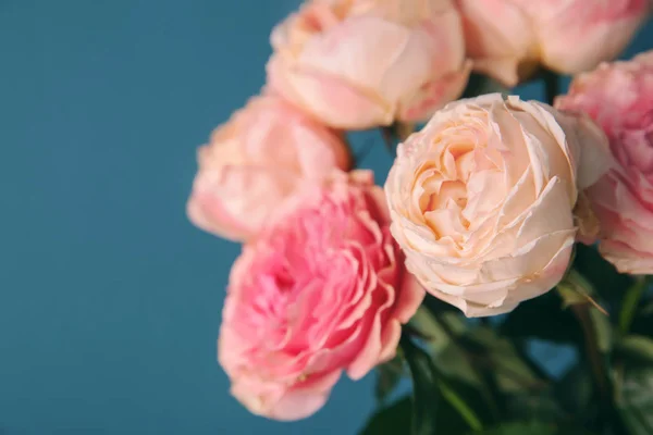 Gyönyörű Rózsák Színes Hátteret Vértes Csokor — Stock Fotó