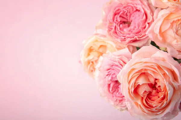 Bouquet Beautiful Roses Color Background Closeup — Stock Photo, Image