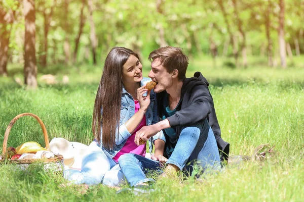 Heureux Jeune Couple Pique Nique Dans Parc Verdoyant — Photo